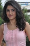 Deeksha Seth Photos - 7 of 63