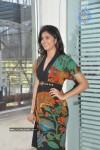 Deeksha Seth Photos - 17 of 57