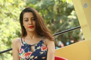 Diksha Panth New Gallery - 18 of 42