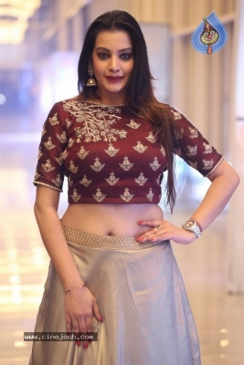 Diksha Panth Photos - 15 of 38