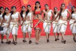 Ester Noronha Hot Pics - 74 of 88