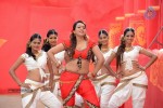 Ester Noronha Hot Pics - 75 of 88