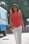 Ester Noronha New Stills - 17 of 56