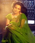 Flora Saini Hot Stills - 12 of 13