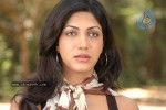 Gadde Sindhura Stills - 8 of 22