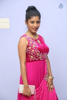 Gayathri New Photos - 11 of 25