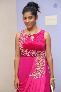 Gayathri New Photos - 17 of 25