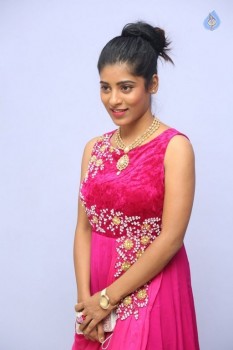 Gayathri New Photos - 21 of 25