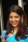 Gayatri Stills - 66 of 71
