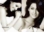 Geeta Basra Hot Stills - 3 of 17