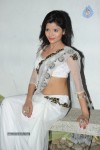 Gehana Vasista Hot Stills - 80 of 65
