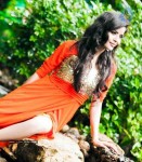 Gehana Vasisth New Pics - 47 of 44