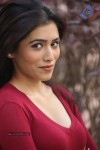 Ghazal Somaiah New Stills - 37 of 188