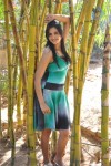 Gowri Sharma Hot Stills - 2 of 79
