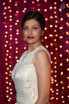 Hamsa Nandini at Zee Telugu Apsara Awards - 2 of 29