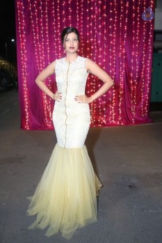 Hamsa Nandini at Zee Telugu Apsara Awards - 8 of 29