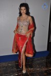 Hamsa Nandini Gallery - 17 of 23