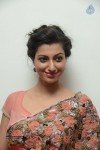 Hamsa Nandini Hot Stills - 1 of 33