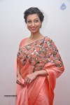 Hamsa Nandini Hot Stills - 12 of 33