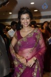Hamsa Nandini Hot Stills - 142 of 152