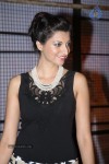 Hamsa Nandini New Stills - 49 of 61