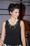 Hamsa Nandini New Stills - 7 of 61