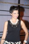 Hamsa Nandini New Stills - 57 of 61