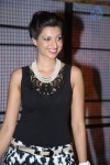 Hamsa Nandini New Stills - 58 of 61