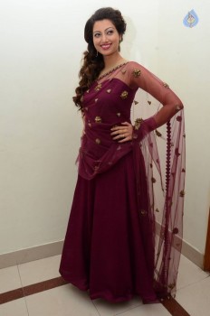 Hamsa Nandini Photos - 51 of 56