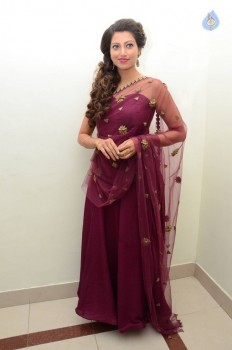 Hamsa Nandini Photos - 54 of 56