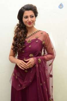 Hamsa Nandini Photos - 55 of 56