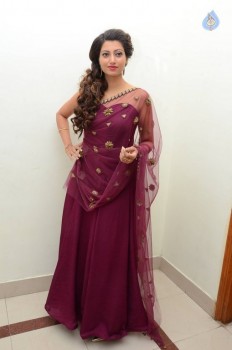 Hamsa Nandini Photos - 56 of 56