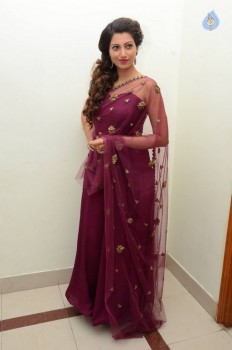 Hamsa Nandini Photos - 16 of 56