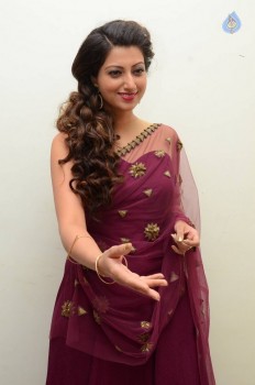 Hamsa Nandini Photos - 62 of 56