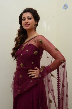 Hamsa Nandini Photos - 47 of 56