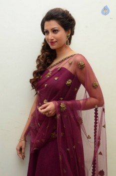 Hamsa Nandini Photos - 51 of 56