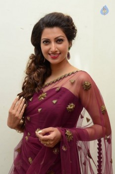 Hamsa Nandini Photos - 54 of 56