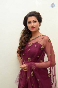 Hamsa Nandini Photos - 55 of 56