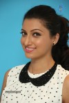 Hamsa Nandini Pics - 15 of 54