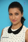 Hamsa Nandini Pics - 25 of 54