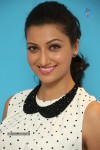 Hamsa Nandini Pics - 43 of 54