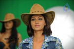 Hamsa Nandini Stills - 60 of 61