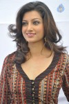 Hamsa Nandini Stills - 16 of 51