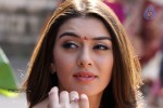 Hansika Latest Hot Stills - 13 of 42