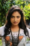 Haripriya Gallery - 5 of 88