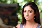 Haripriya High Resolution Stills - 5 of 51