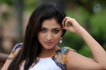 Haripriya High Resolution Stills - 11 of 51