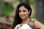 Haripriya High Resolution Stills - 12 of 51