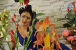 Haripriya Hot Gallery - 46 of 152