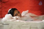Haripriya Latest Gallery - 71 of 77